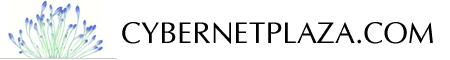 Prom Dresses and Party Dresses by Cybernetplaza.com. Landmark Label. Best Bridesmaid Dresses, Cheap Formal Dresses, Designer Evening Gowns, Best Evening Dresses